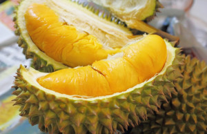 festival durian
